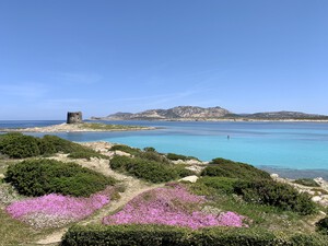 Spiaggia La Pelosa, feiner Sandstrand auf Sardinien<p></p>